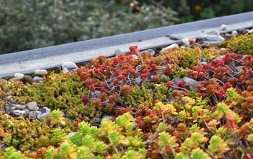 the cost of Crambe green roof installation
