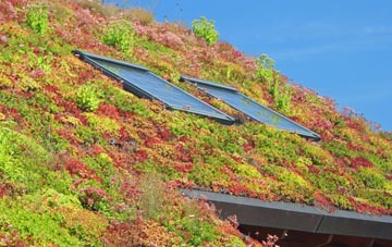 Crambe living roof systems
