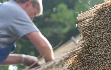 professional Crambe thatchers